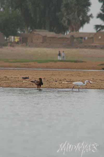 Mud Maps Africa Mopti 3642